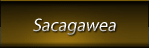 Sacagawea